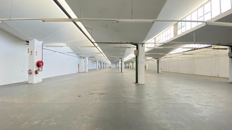 Commercial Property for Sale in Epping Industrial Western Cape